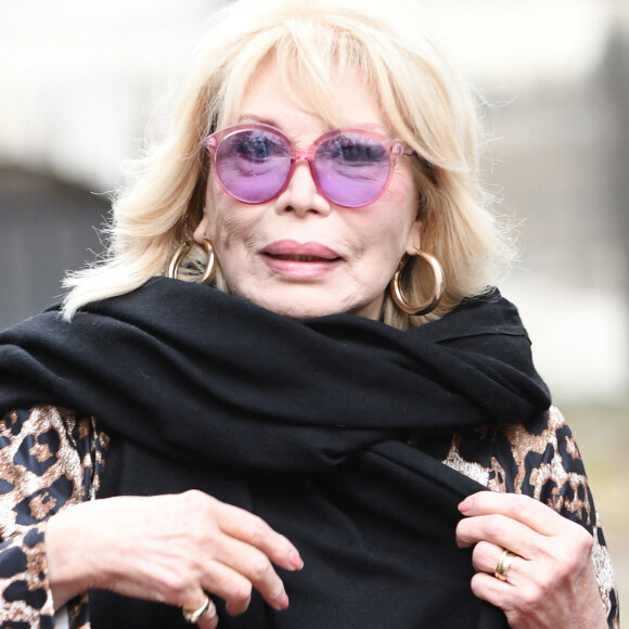 Tout comme celle d'Amanda Lear, parée d'une veste léopard.
Amanda Lear arrive au showroom de la maison Vivier (Roger Vivier chaussure) pour la collection automne / hiver 2024-2025 lors de la Fashion Week de Paris (PFW), à la maison de l'Amérique Latine, à Paris, France, le 29 février 2024. 