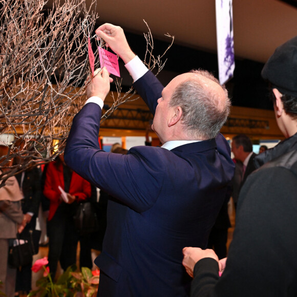 Plusieurs activités étaient prévues.
A l'initiative de l'artiste monégasque Anthony Alberti, le prince et la princesse ont accroché un mot sur l'arbre à voeux, qui tout au long de la journée sera accessible à toutes et tous pour que chacun puisse laisser son message pour la journée de la femme, la princesse a écrit : Liberté, le prince : Egalité, Bienveillance, Ensemble - Le prince Albert II de Monaco et la princesse Stéphanie de Monaco participent à la journée internationale des droits des femmes à la salle du Canton à Monaco, le 8 mars 2024.