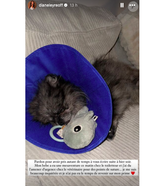 Diane Leyre, qui a dû gérer une urgence avec son chien, a pris la parole plusieurs heures après son éviction.
Story Instagram de Diane Leyre.