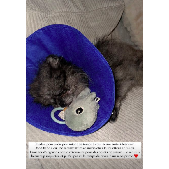 Diane Leyre, qui a dû gérer une urgence avec son chien, a pris la parole plusieurs heures après son éviction.
Story Instagram de Diane Leyre.