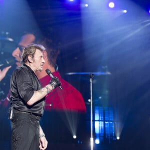 David Hallyday - Johnny Hallyday en concert au POPB de Bercy et au Theatre de Paris a Paris - Jour 2 de la tournee "Born Rocker Tour". Le 15 juin 2013