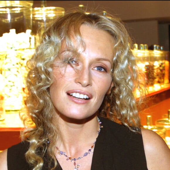 Paris-France, 8/11/2001. Estelle Lefebure à la soirée de la collection 'Delices de Cartier'.