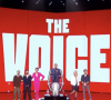 Baptiste Sartoria a décroché sa précieuse place pour la grande finale de The Voice
Extrait de l'émission "The Voice", TF1