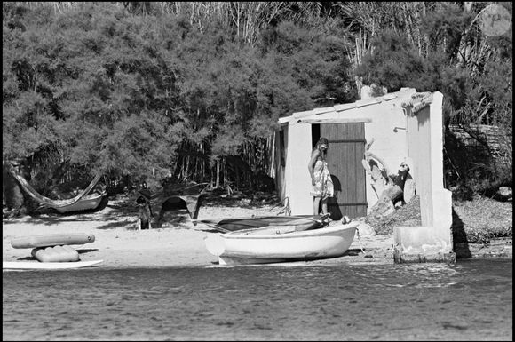 Archives - Brigitte Bardot à La Madrague en 1981
DANIEL ANGELI / BESTIMAGE