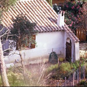 Archives - Brigitte Bardot à La Madrague.
DANIEL ANGELI / BESTIMAGE