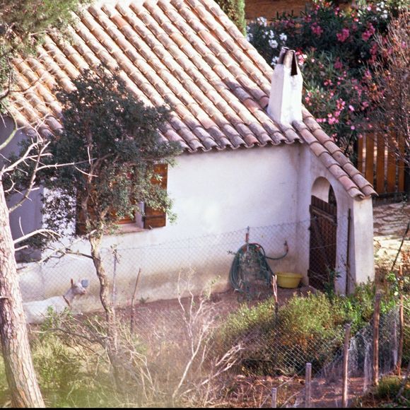 Archives - Brigitte Bardot à La Madrague.
DANIEL ANGELI / BESTIMAGE