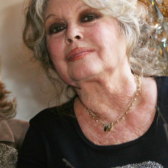 Archives - Brigitte Bardot lors des 20 ans de la Fondation Brigitte Bardot à Paris, le 28 septembre 2006. 