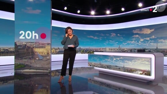 En effet, les cadres de France Télévision ne semblent pas vraiment apprécier les prestations de la journaliste... Ambiance !