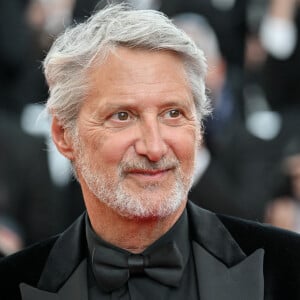 S'il est désormais septuagénaire, Antoine de Caunes n'en reste pas moins jeune dans sa tête.
Antoine de Caunes lors de la première du film La Plus Precieuse Des Marchandises lors du 77ème Festival de Cannes. Julien Reynaud/APS-Medias/ABACAPRESS.COM