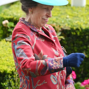 La princesse Anne - La famille royale d'Angleterre aux courses hippiques "Royal Ascot 2024" à Ascot. Le 18 juin 2024 © Justin Goff / Bestimage 