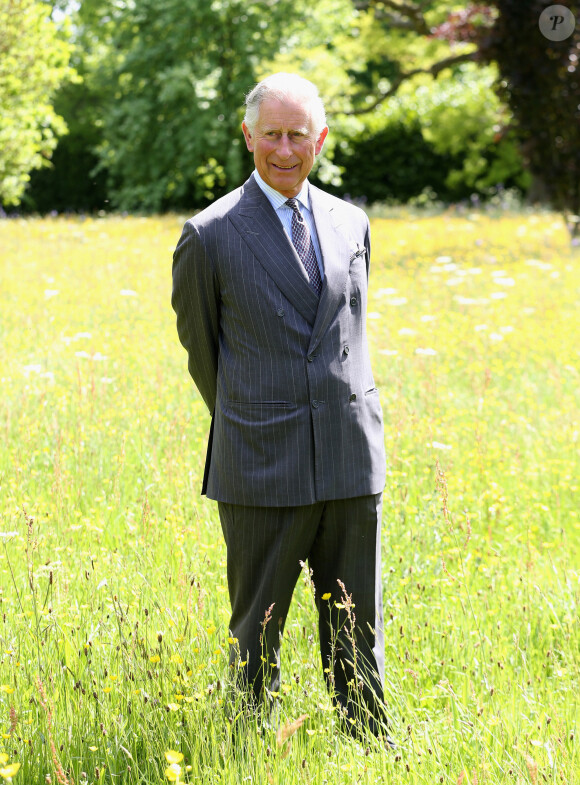 Le Prince Charles de Galles boit un verre de Pimm's au lancement du projet de "Coronation Meadows" a Tetbury, le 5 Juin 2013. 