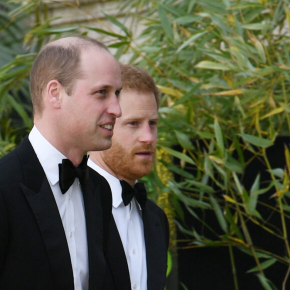 Eux que même la mort de leur grand-mère chérie Elizabeth II n'a pas réussi à réconcilier...
Le prince William, duc de Cambridge, le prince Harry, duc de Sussex, à la première de la série Netflix "Our Planet" au Musée d'Histoires Naturelles à Londres, le 4 avril 2019. 