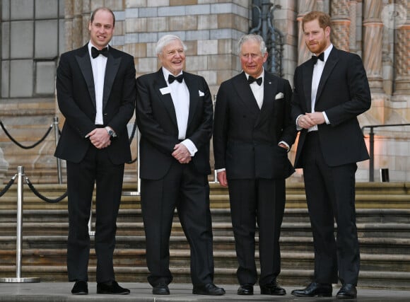 Le prince William, duc de Cambridge, Sir David Attenborough, le prince Charles, prince de Galles, le prince Harry, duc de Sussex, à la première de la série Netflix "Our Planet" au Musée d'Histoires Naturelles à Londres, le 4 avril 2019. 