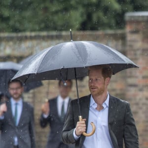 Le prince William et le prince Harry lors de la visite du Sunken Garden dédié à la mémoire de Lady Diana à Londres le 30 août 2017. 