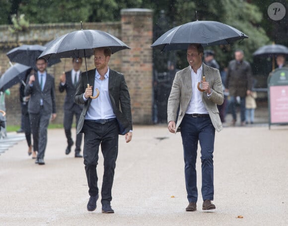 Le prince William et le prince Harry lors de la visite du Sunken Garden dédié à la mémoire de Lady Diana à Londres le 30 août 2017. 