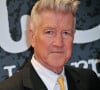 Il a expliqué qu'il pourrait devoir diriger ses acteurs à distance pour de futurs projets. 
Le realisateur David Lynch sur le tapis rouge du 5eme Festival International du Film Policier de Beaune le 5 avril 2013.