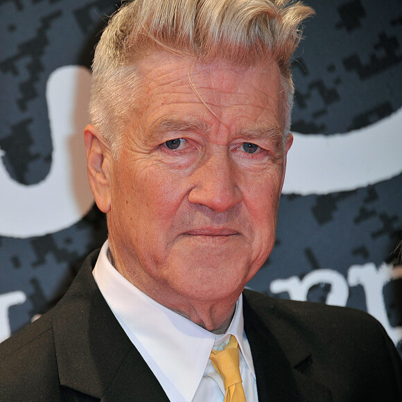 Il a expliqué qu'il pourrait devoir diriger ses acteurs à distance pour de futurs projets. 
Le realisateur David Lynch sur le tapis rouge du 5eme Festival International du Film Policier de Beaune le 5 avril 2013.