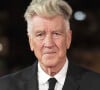 Dans une interview du magazine britannique Sight and Sound à paraître en septembre prochain, le metteur en scène s'est confié sur sa mobilité était réduite… 
David Lynch sur le tapis rouge lors du festival du film de Rome le 4 novembre 2017.