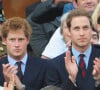 Il s'agit de celui que son frère William avait cassé lors d'une dispute...
Londres, Royaume-Uni - Le Prince William et le Prince Harry Photos du dossier Photo : Prince William, Prince Harry