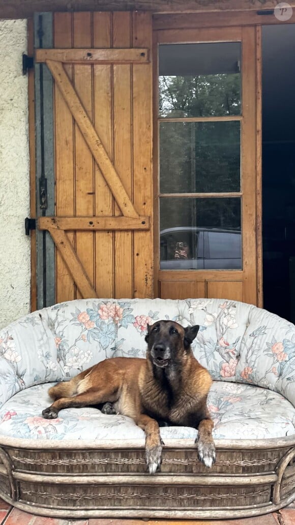 Anouchka Delon a publié une photo de Loubo sur Instagra, le chien de son père Alain Delon, quelques heures avant son décès.