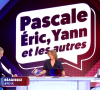 Pascale de La Tour du Pin, Yann Moix et Eric Naulleau sur C8.