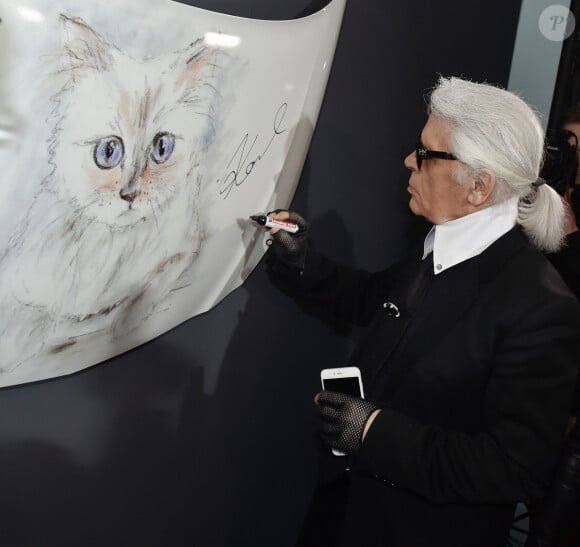 Le créateur de mode Karl Lagerfeld se tient à côté d'un dessin de son chat Birman lors du vernissage de son calendrier photo "Corsa Karl et Choupette" au Palazzo Italia à Berlin, Allemagne, le 3 février 2015. Pour le calendrier, Lagerfeld a pris des photos de sa chatte Choupette dans et à côté d'une voiture Opel. Photo par Jens Kalaene/DPA/ABACAPRESS.COM