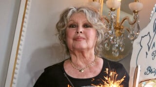 Brigitte Bardot jamais tranquille, son cocon tropézien envahi : "C'est un vrai supplice"