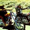 Une vidéo du cultissime Easy Rider, de Dennis Hopper.