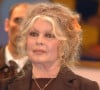 Brigitte Bardot va bientôt devenir nonagénaire.
Archives - Brigitte Bardot 