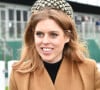 L'annonce a été faite sur les réseaux sociaux de la famille royale britannique le 1er octobre
La princesse Beatrice - Les membres de la famille royale britannique au festival hippique de Cheltenham