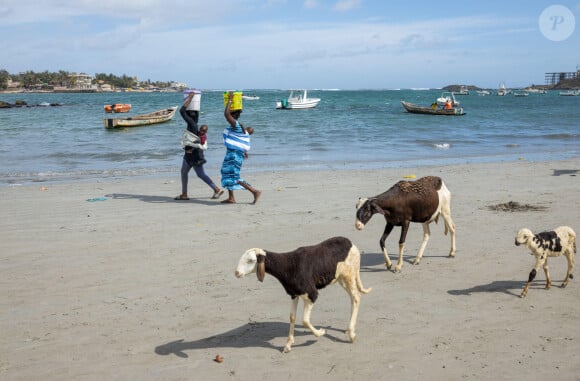 île de Ngor au large de Dakar, où France Gall avait sa maison.@Alamy by Abaca