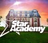  "Mélange de Nolwenn et Clara Luciani", ou encore "de Dakota Johnson et Zoey Deschanel", un autre internaute lui trouve une grande ressemblance avec Eve Hewson. 
Logo de la "Star Academy"