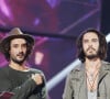 "Après une tournée d'adieux et des concerts avec une ambiance de folie, ça a été un peu compliqué...".
Fréro Delavega (Jérémy Frérot et Florian Delavega) - Cérémonie des 31ème Victoires de la Musique au Zénith de Paris. Le 12 février 2016 