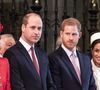 Voilà plusieurs années que les princes William et Harry sont en froid !
Catherine Kate Middleton, duchesse de Cambridge, le prince William, duc de Cambridge, le prince Harry, duc de Sussex, Meghan Markle, enceinte, duchesse de Sussex, le prince Charles, prince de Galles lors de la messe en l'honneur de la journée du Commonwealth à l'abbaye de Westminster à Londres.