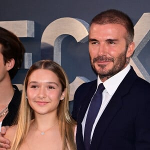 Il s'agirait de H7B Limited. H7B comme Harper Seven Beckham, le nom complet de sa fille
 
David Beckham et sa famille à l'avant-première du documentaire Beckhamà Londres.