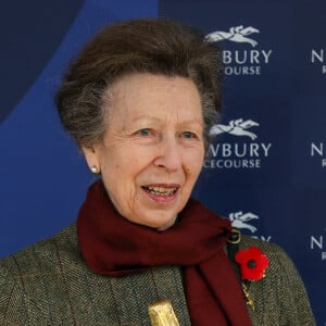 La princesse Anne d'Angleterre assiste à la course de charité au profit de la British Horse Society à l'hippodrome de Newbury le 7 novembre 2024. 