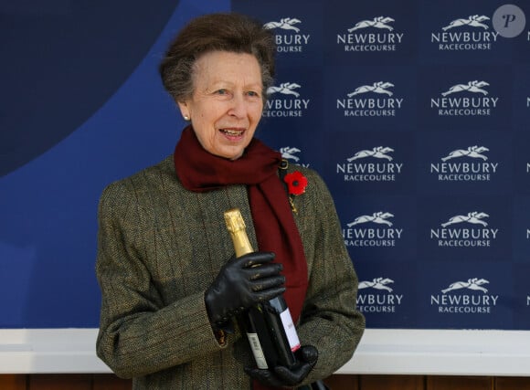 La princesse Anne d'Angleterre assiste à la course de charité au profit de la British Horse Society à l'hippodrome de Newbury le 7 novembre 2024. 