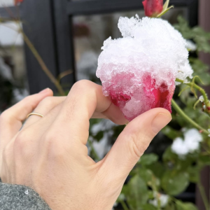 Au programme ? Balade dans la neige avec son petit garçon et son compagnon. 

Instagram @loudoillon