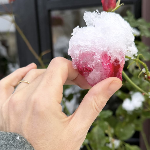 Au programme ? Balade dans la neige avec son petit garçon et son compagnon. 

Instagram @loudoillon