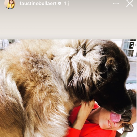 Il y a environ un mois, elle a perdu sa chienne Nessie
Faustine Bollaert a fait savoir que Nessie lui manquait beaucoup
