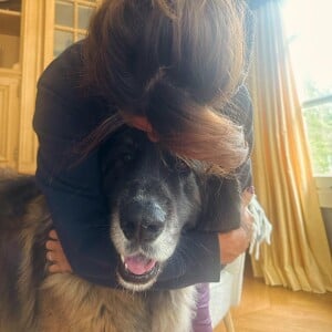 Elle devrait compter sur leur soutien
Faustine Bollaert avec sa chienne Nessie