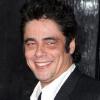 Benicio Del Toro, prix d'interprétation masculine lors du Festival de Cannes 2008.