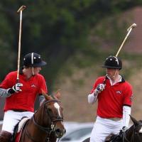 Les princes William et Harry : Bouleversés après le drame survenu pendant leur match de polo...
