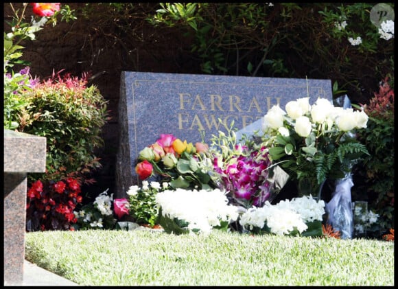 Ryan O'Neal et son fils Redmond rendent hommage à Farrah Fawcett, disparue le 25 juin 2009.