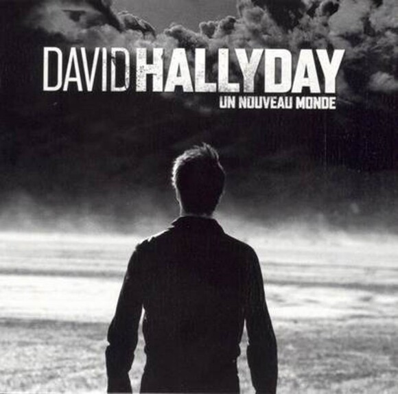 David Hallyday, avec son nouvel album Un nouveau monde, figure parmi les échecs commerciaux des ventes physiques de CDs au premier semestre 2010.