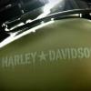 Pharrell s'agite tous azimuts : à 37 ans, rien n'échappe à sa griffe, pas même... Harley-Davidson.