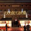 Les 40 ans de la maison Cavalli qui se sont tenus aux Beaux-Arts, dans le cadre de la Fashion Week, à Paris, le 29 septembre 2010.