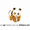 Campagne française WWF pour les tigres : www.3200tigres.wwf.fr
