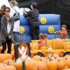 Halle Berry et sa fille Nahla Aubry vont acheter une citrouille pour Halloween chez Mr. Bones Pumpkin Patch à Los Angeles le 21 octobre 2010