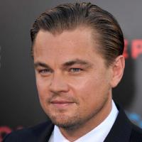 Leonardo DiCaprio : La femme qui l'a agressé condamnée à la prison !